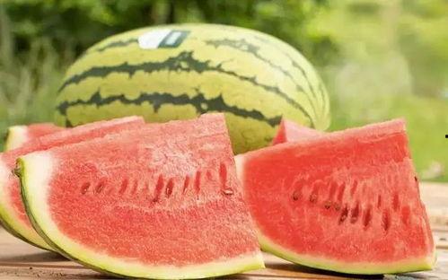 今日陕西沙漠瓜价,瓜价今日行情一览