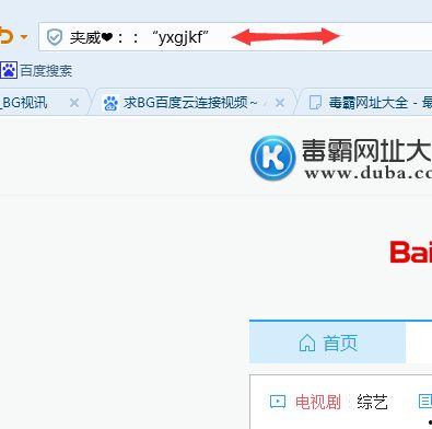 bg视频,捕捉瞬间之美
