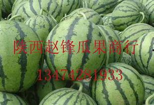 今日南宁哈密瓜批发价,品质佳价优，瓜香四溢迎丰收”