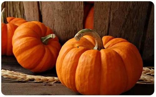 聊城白吊瓜今日价格