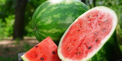 吃瓜爆料背景怎么弄的,网络舆论场的幕后操控