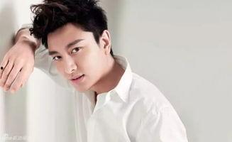 爆料吃瓜贾乃亮,娱乐圈真相大揭秘