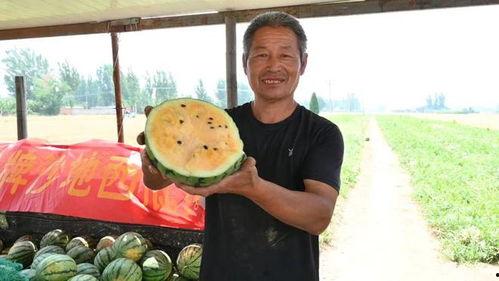 邵阳最新吃瓜爆料