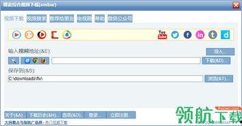 稞麦综合视频下载器,一站式视频下载利器深度解析