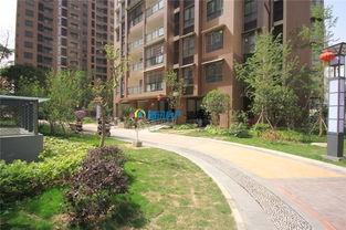 林园最新视频,揭秘投资智慧与市场洞察