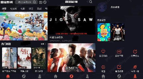 无广告视频,纯净视听之旅