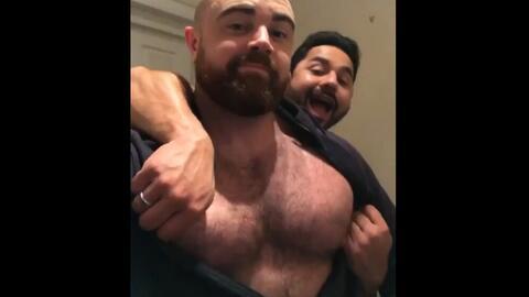 壮熊视频,揭秘野生动物的雄壮与力量