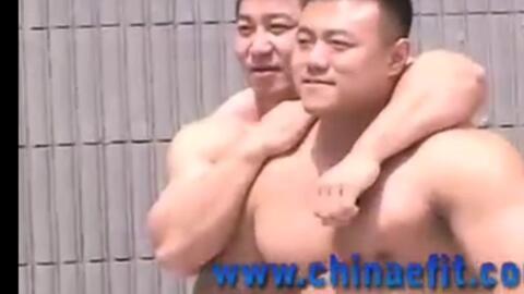 壮熊视频,揭秘野生动物的雄壮与力量