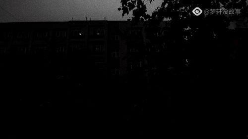 悲伤视频,探寻悲伤视频背后的感人故事