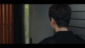 悲伤视频,探寻悲伤视频背后的感人故事