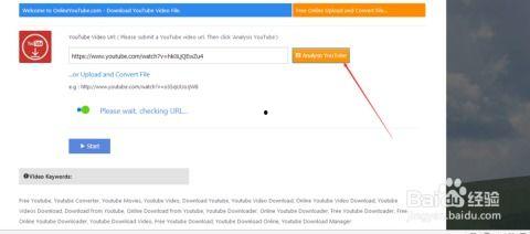 怎么下载youtube上的视频,掌握高效视频下载技巧