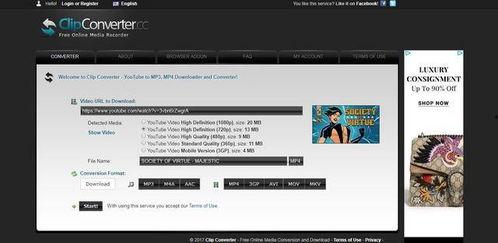 怎么下载youtube上的视频,掌握高效视频下载技巧