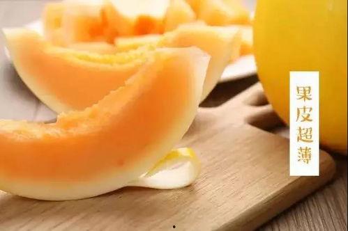 我最喜欢吃黑蜜瓜,舌尖上的甜蜜诱惑