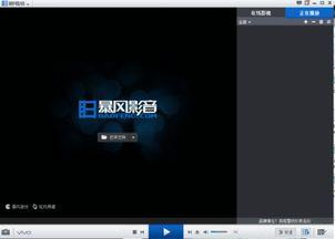 电脑本地视频播放器,功能解析与使用心得