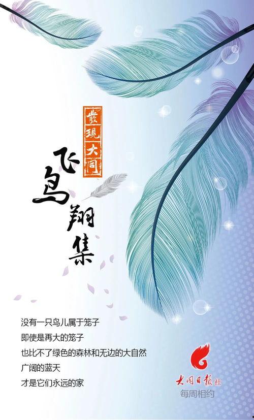 飞鸟视频,捕捉光影之美，探索视觉盛宴