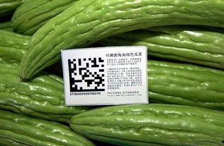 江西今日瓜菜价格表,市民菜篮子成本几何？