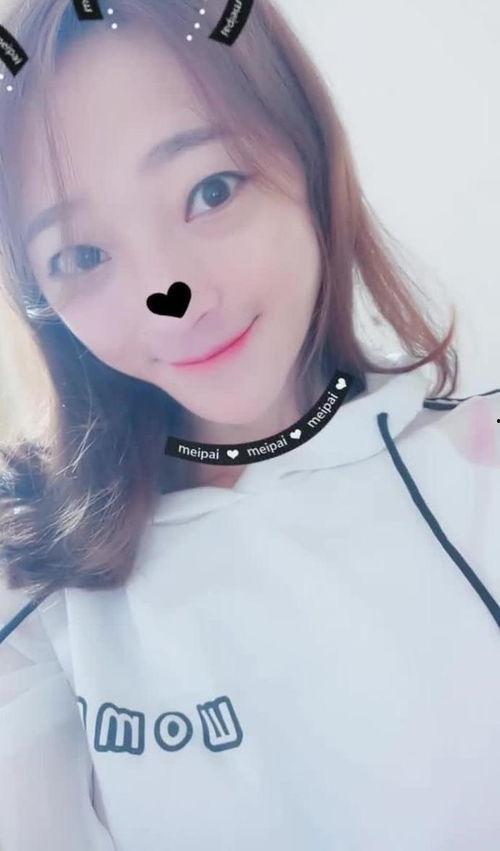 喵喵视频,带你领略萌宠世界的欢乐瞬间