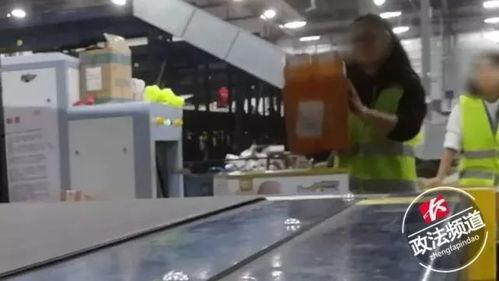 快递分拣视频,视频带你领略智能分拣魅力