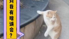 动物拉屎的视频