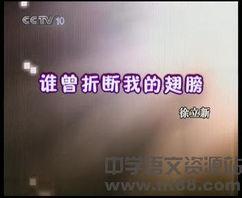 朗读视频,探寻文字背后的声音魅力