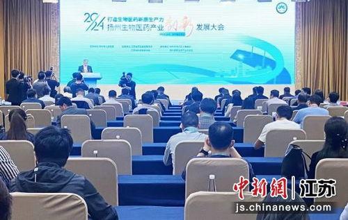 江苏发展大会视频