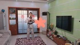 太极四章教学视频,动静相生，阴阳平衡之道